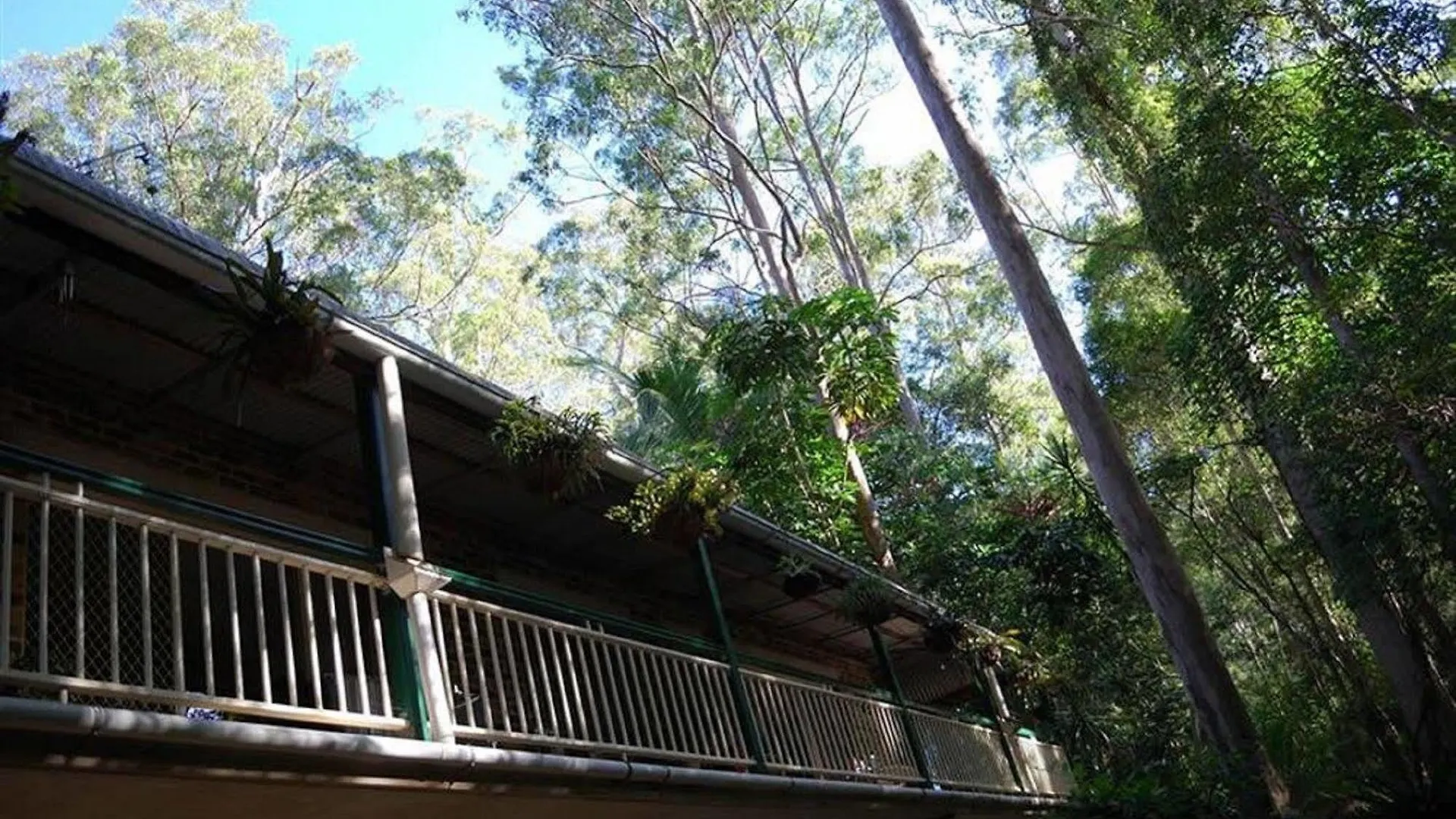 Rumbalara Bed And Breakfast Gold Coast