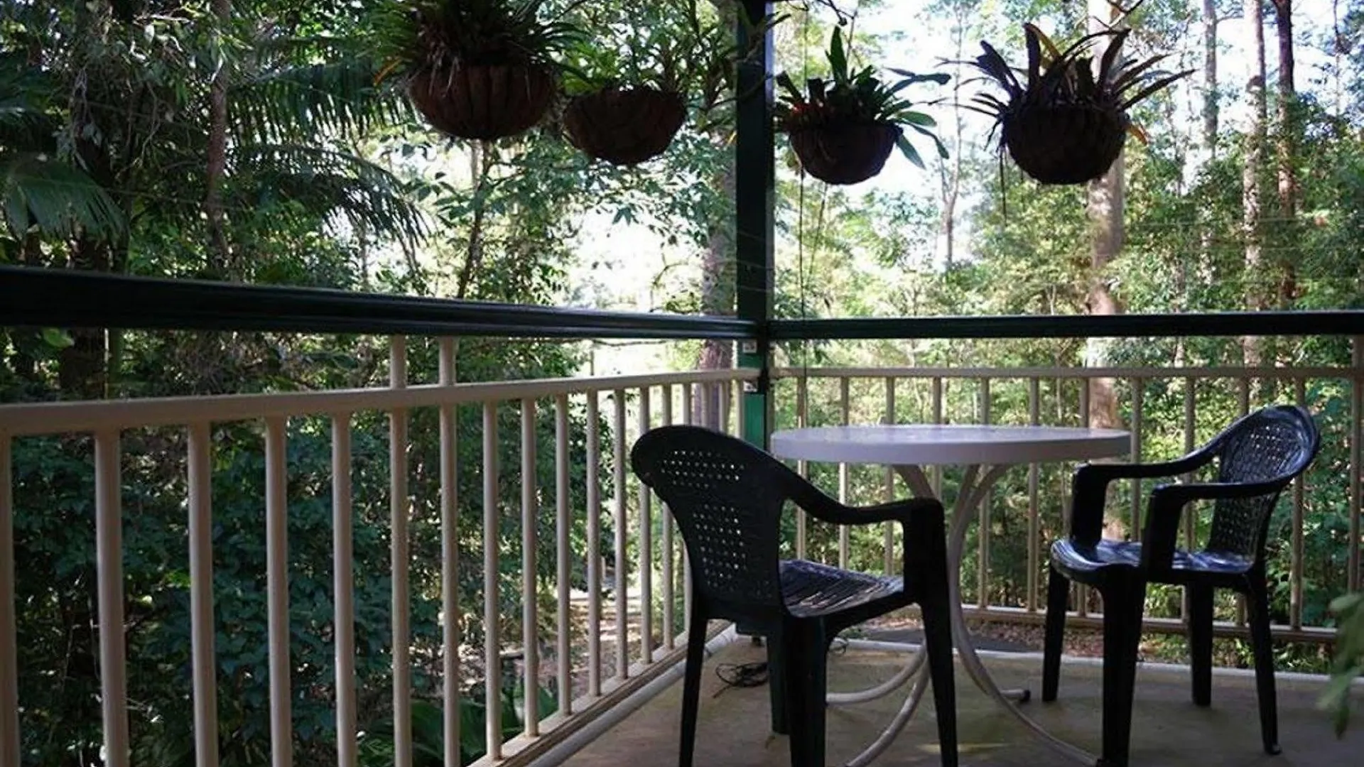 Rumbalara Bed And Breakfast Gold Coast Bed & Breakfast
