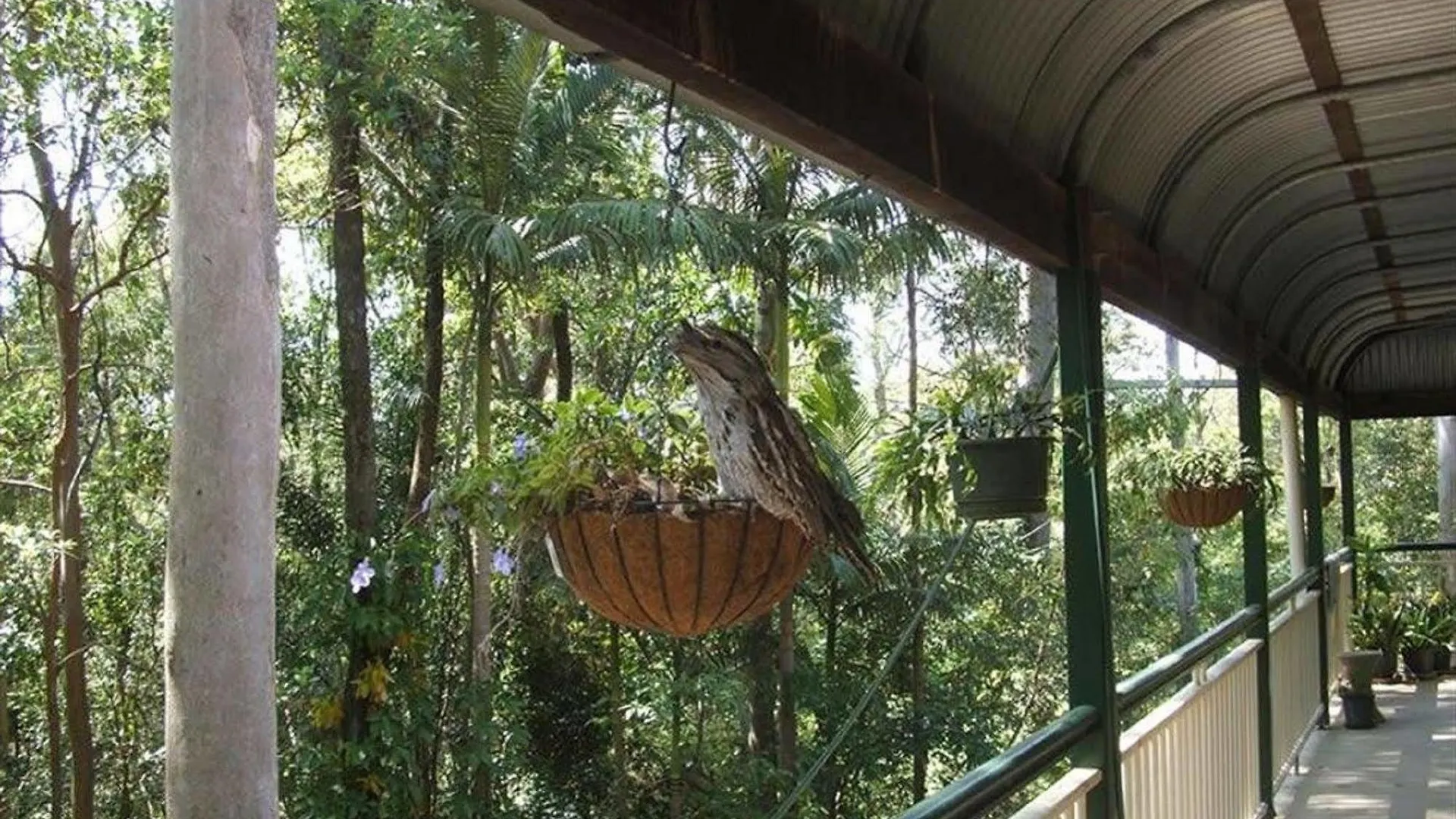 Rumbalara Bed And Breakfast Gold Coast