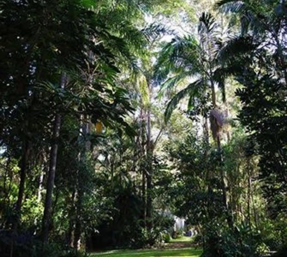 Rumbalara Bed And Breakfast Gold Coast 3*,