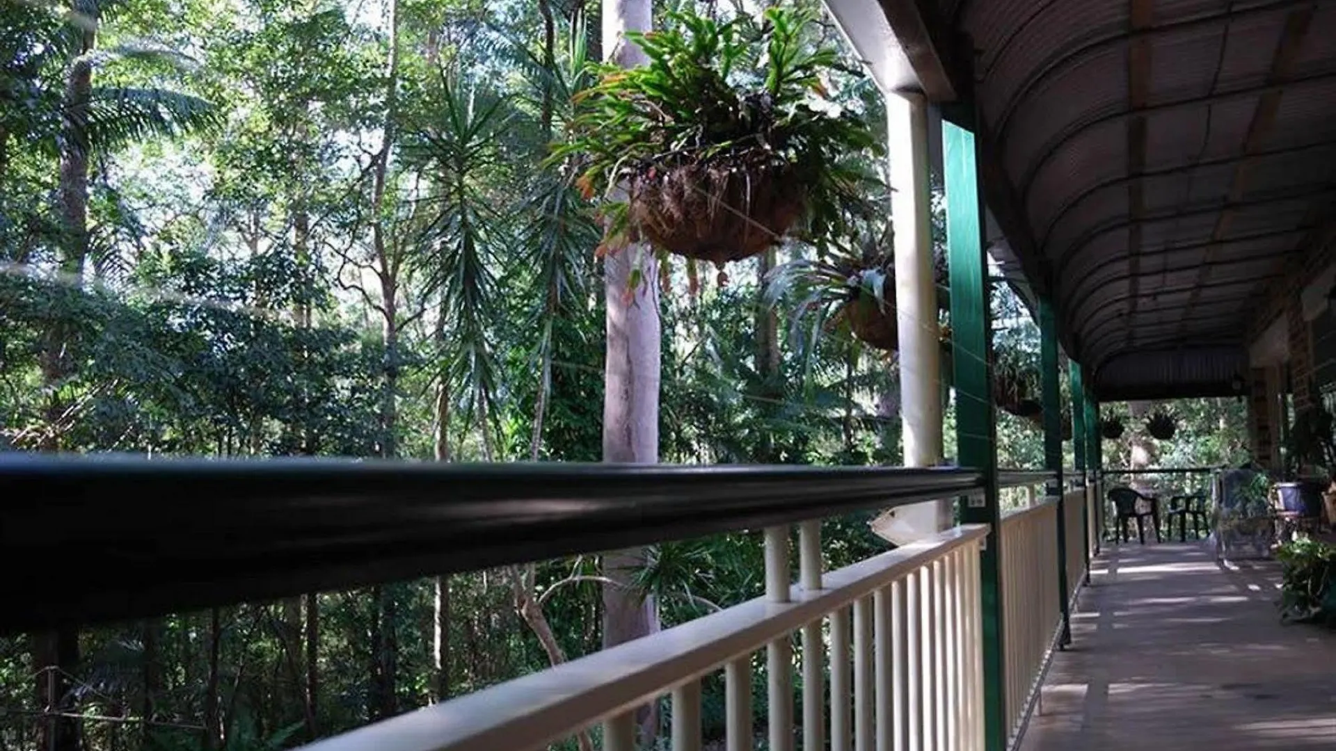 Rumbalara Bed And Breakfast Gold Coast 3*,  Australia